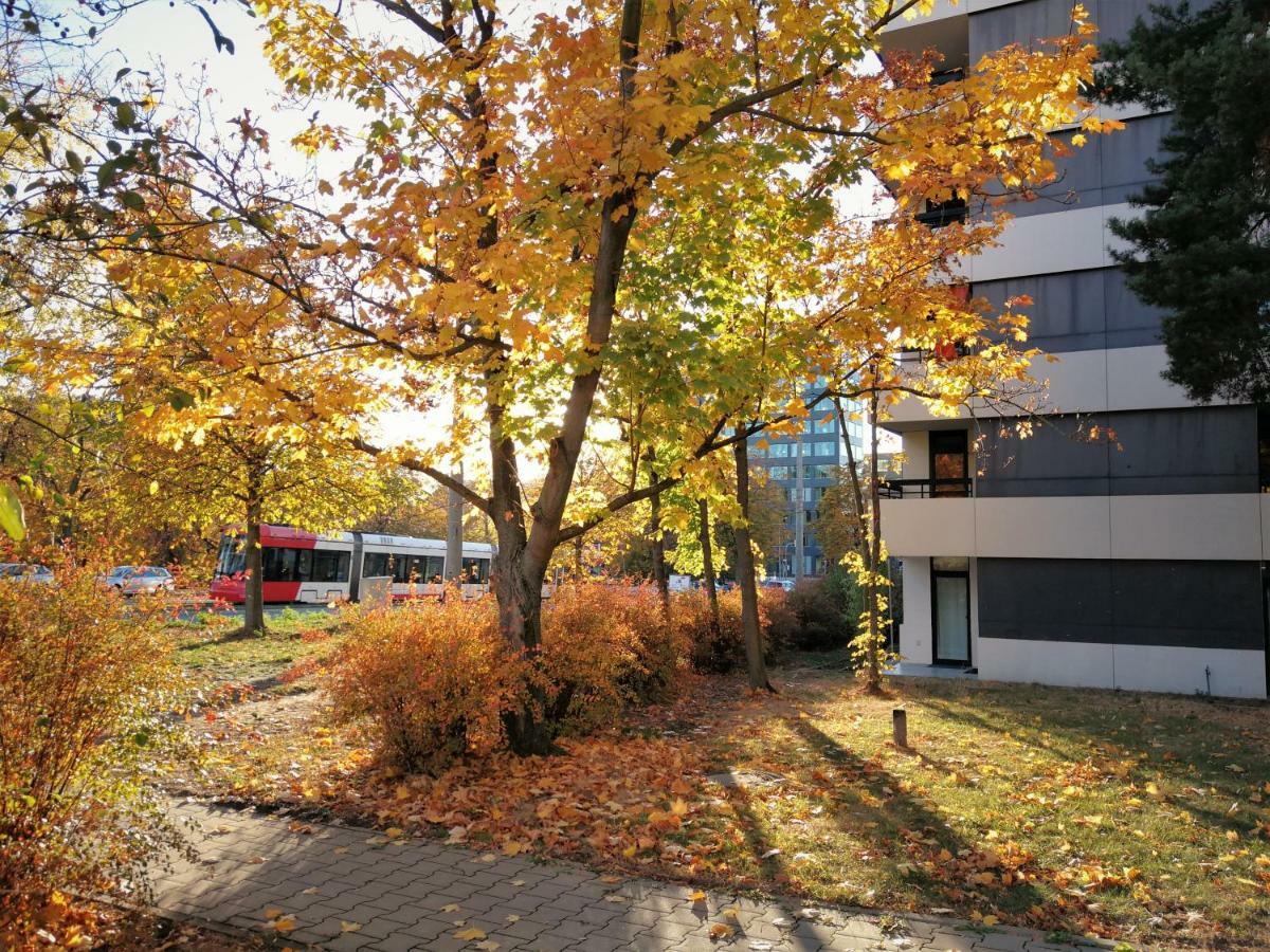 Central-Apt At Lake, Citycenter 5Min, Fair 18Min!!! Нюрнберг Экстерьер фото